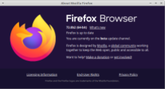 Firefox web browser v.73
